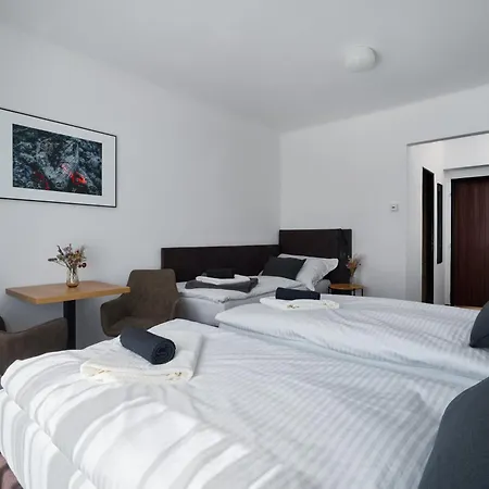 Hotel Popel